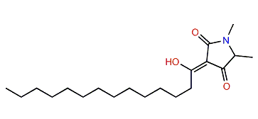 Melophlin J